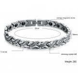 World-wide Renown Health Titanium Lodestone Bracelet 