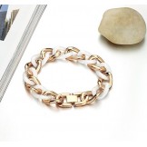 Dependable Performance Titanium Ceramic Bracelet