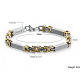 World-wide Renown Male Titanium Bracelet